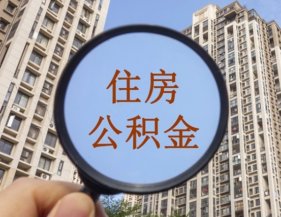 明港退休后查不到公积金明细了吗（退休后公积金查询不到原因）